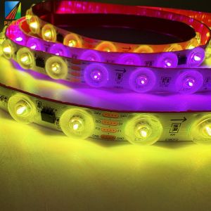 24V Digital RGB Flexible LED Strip 48LEDs Copper Body IP20 Rated Smart Strip Lights Diffuse Reflection 12mm PCB LED Lights
