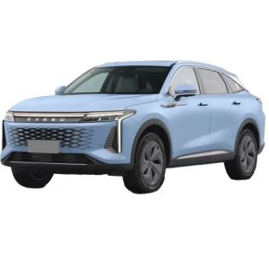 R16 Tires 2024 EXEED Rx PHEV Yaoguang STELLAR