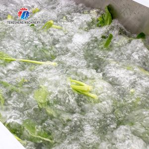 Vegetables bubble washing machine Wash Washer Washing Cleaning processing