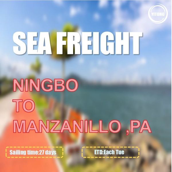 Buy DDU DAP International Sea Freight From Ningbo To Manzanillo Panama at wholesale prices