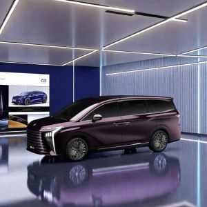 2024 DONGFENG FORTHING V9 PHEV Basic Five-Door Seven-Seater MPV Commercial