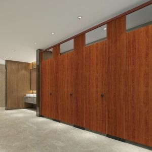 European Standard 12mm Toilet Cubicle Partition Phenolic Board Customizable