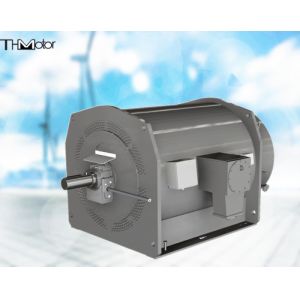 IC611 Wound Rotor Flameproof Electric Motor IP55 IP65