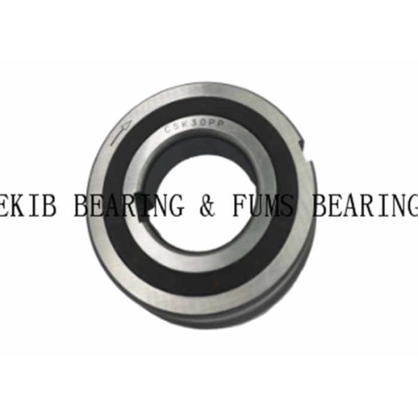 Chrome Steel One Way Clutches CSK25PP C0 C2 C3 C4 C5 Clearance 84836000 Drawn