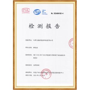 Tianjin Liwei New Energy Technology Co., Ltd. Certifications