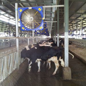 Applicable Industries Farms Livestock Ventilation Fans With DC Motor