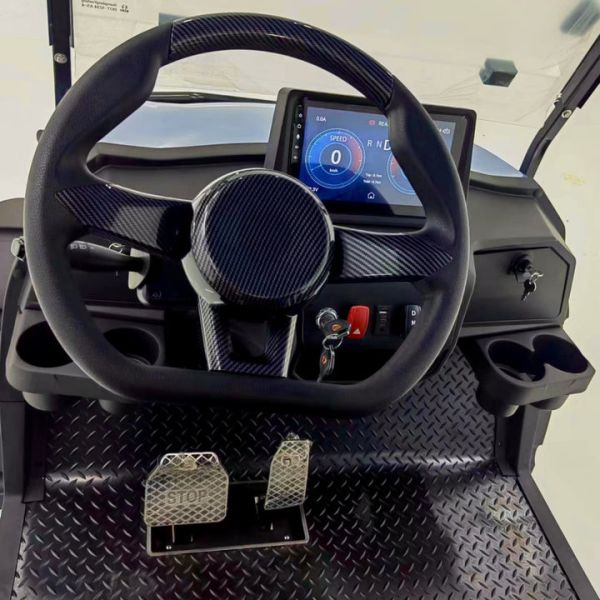 New Designed 2 Seat Electric Golf Cart 4KW Four Wheeler Durable Electric Golf Buggy