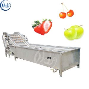 Stainless Steel 304 Automatic Ultrasonic Vegetable Washing Machine Industrial