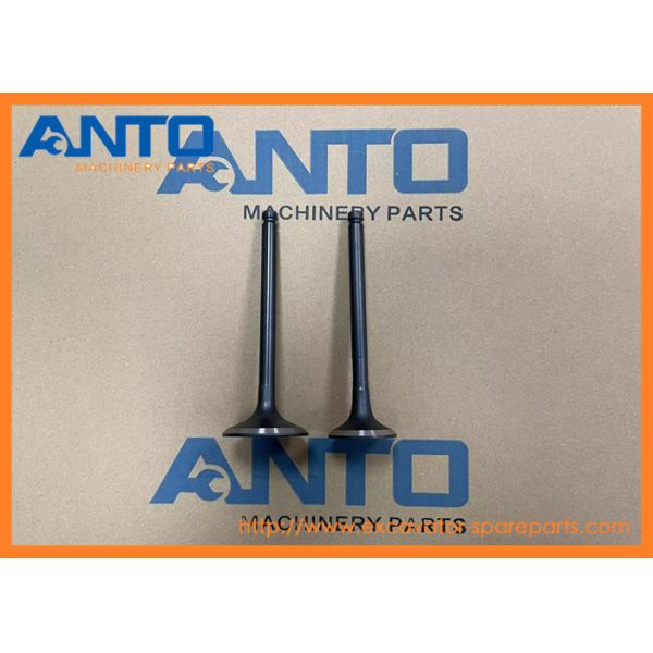 65.04101-0032 65.04101-0025A Intake Valve DOOSAN Excavator Spare Parts For