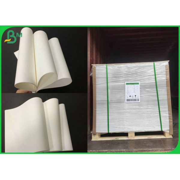 White Color Resistant to Tear 180 Micron Matt PP Paper For Inkjet Printing White Color Resistant To Tear 180 Micron Matt PP Paper For Inkjet Printing