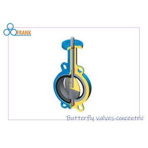 Self cleaning 200 PSI DNV 2˝ Industrial Metal Valves