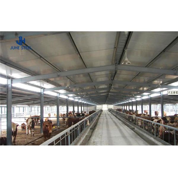 Solid H-shape Steel Beam Hot Dip Galvanised Livestock Shed for Pig Cow Sheep