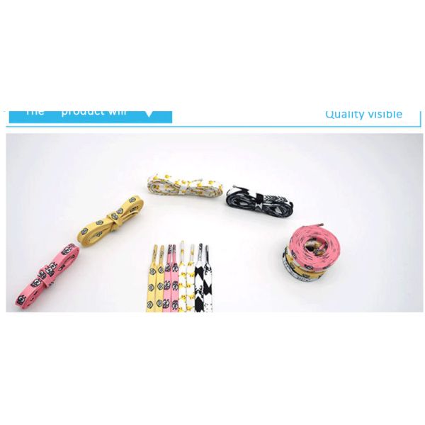 Custom printed shoelace Jordan Max Pantone glitter shoelace Top Customized Boots Tie Item Time Sneaker charms flat shoelace