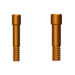 Camlog® 3.3 / 3.8 / 4.3 / 5.0 Dental Implant Titanium Screw Hex 1.27mm