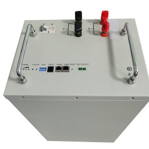 Custom Deep Cycle Lithium Ion Batteries 48v 100ah Lifepo4 Battery