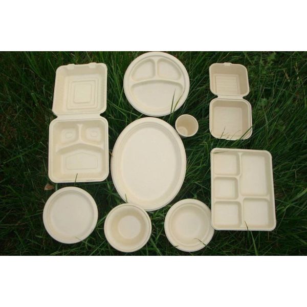 Anti Oil 350ml Compostable Biodegradable Bagasse Food Cups