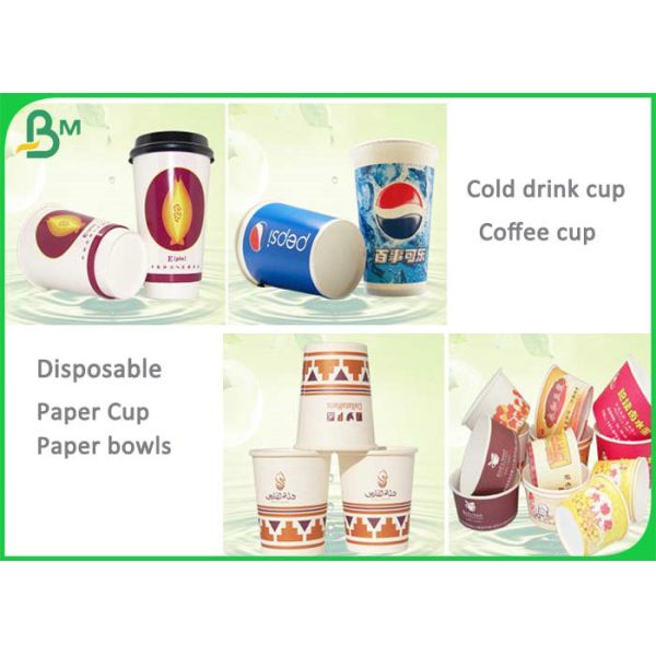 190g 210g White Cupstock Paper For Disposable Cups With PE Coated Waterproof 190g 210g White Cupstock Paper For Disposable Cups With PE Coated Waterproof