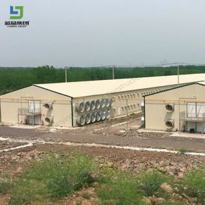 Hot Dipped Galvanized Steel Frames Prefab Chicken House Poultry Farm House Cow