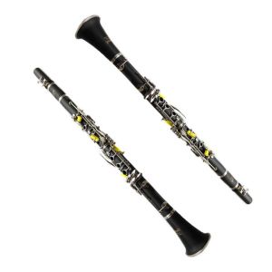 constansa instrumentProfessional Performance Level Ebony Wood Silver Plated 18