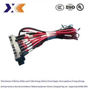 Car Model Lithium Battery Energy Storage Cable Power Cord Wire Harness in Varity