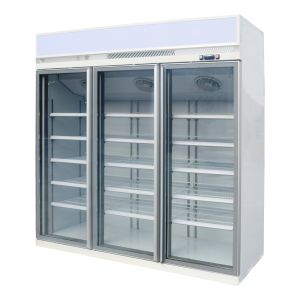 Beverage Retail Glass Door Refrigerator With Deep Shelving