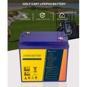 Rechargeable 48V 30Ah Lightweight Motorcycle Battery For Starting