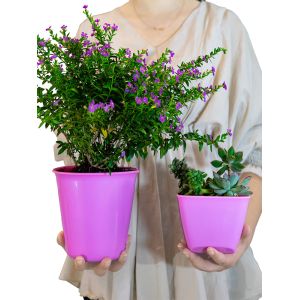 Unobstructed View Nature Balcony Grille Invisible Clip Crossing 2.0mm