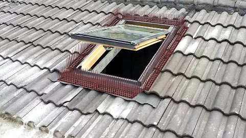 Farm Balcony Fence Patio Wall PP All Plastic Anti Bird Pigeon Spikes No Power Needed