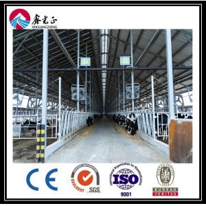 OEM Galvanized Steel Structure Building