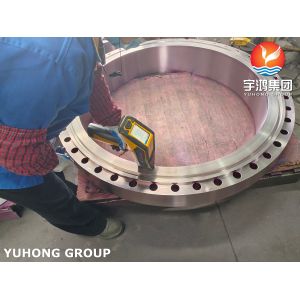 ASTM A182 F310 Stainless Steel Forged Flange Brida
