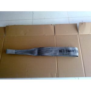EN 1492-1 4T Polyester Flat Webbing Sling
