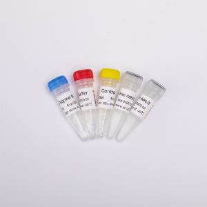 GDSBio Reverse Transcriptase PCR Reagents