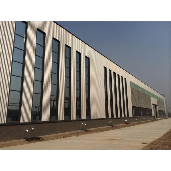 Fireproof Coating Light Gauge Steel Frame Construction Prefabricated Skylight Warehouse