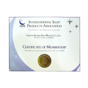 Foshan Rayson Global CO., Ltd Certifications