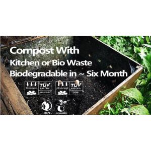 Wholesale disposable gloves, plastic gloves, biodegradable gloves, compostable