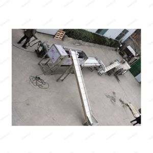 Automatic potato carrot steam peeling machine auto industrial potatoes sweet