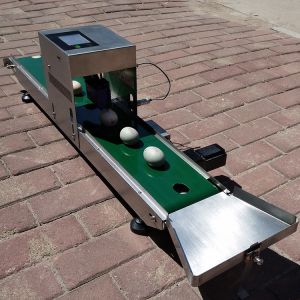 Convenient Transportation Egg Batch Number Printing Machine For Green Food Logo