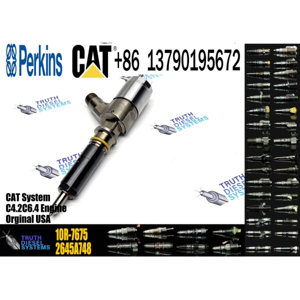 C4.4/C6.6 Engine Injector For CAT 326-4700 326-4756 326-4740 10R-7951 2645A717 10R-7675 32F61-00062 32F61-00014 32F61-00022