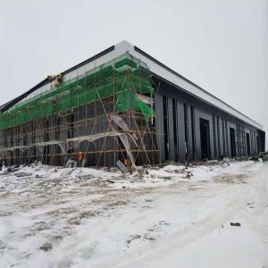 Industrial Modern Prefabricated Steel Structure Building Construction Customized