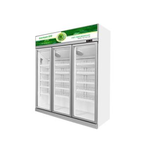 Customized Commercial Glass Door Display Cooler For Beverage Wine 1000L