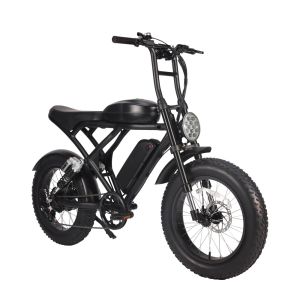Powerful Z Star Brake Middle Drive Electric Bicycle with 26 Inch and Lithium