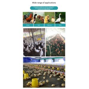 10KG 15KG Plastic Chicken Water Feeder Chicken Feeding Line Parts