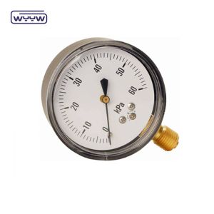 China 60-100mm CmH2O Capsule Pressure Gauge Manometer 1.6% Accuracy on sale