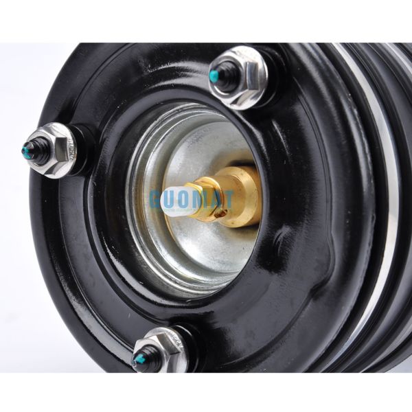 2000 - 2006 Mercedes - Benz Class S350, S430, S500, S55 Amg Air Suspension Spring 2203205013