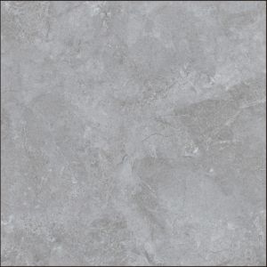 Rectified Edge Glazed Porcelain Tile Polished Frost Resistance