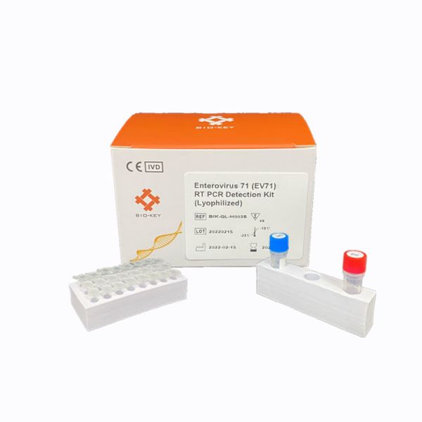 Buy Enterovirus EV71 Real Time PCR Diagnostic RT-PCR Detection Kit  Lyophilized at wholesale prices