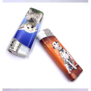 Plastic Transparent Disposable Cigarette Lighter Refillable Gas Encendedor