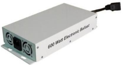 Buy Electronic Ballast 1000w /600w  Plant lighting Low Price High Quality at wholesale prices