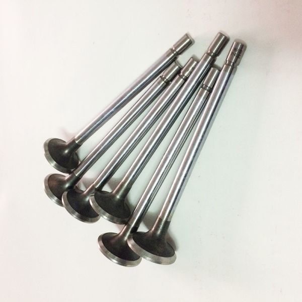Buy Diesel Valve Train Engine Intake Valve And Exhaust Valve E13 E15 at wholesale prices
