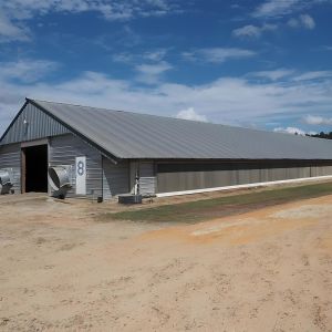 Light Steel Structure Shed Construction Customized Steel Broiler Poultry House